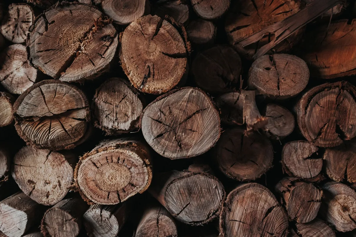 Buches de bois de chauffage stockees au sec, pretes pour l'hiver