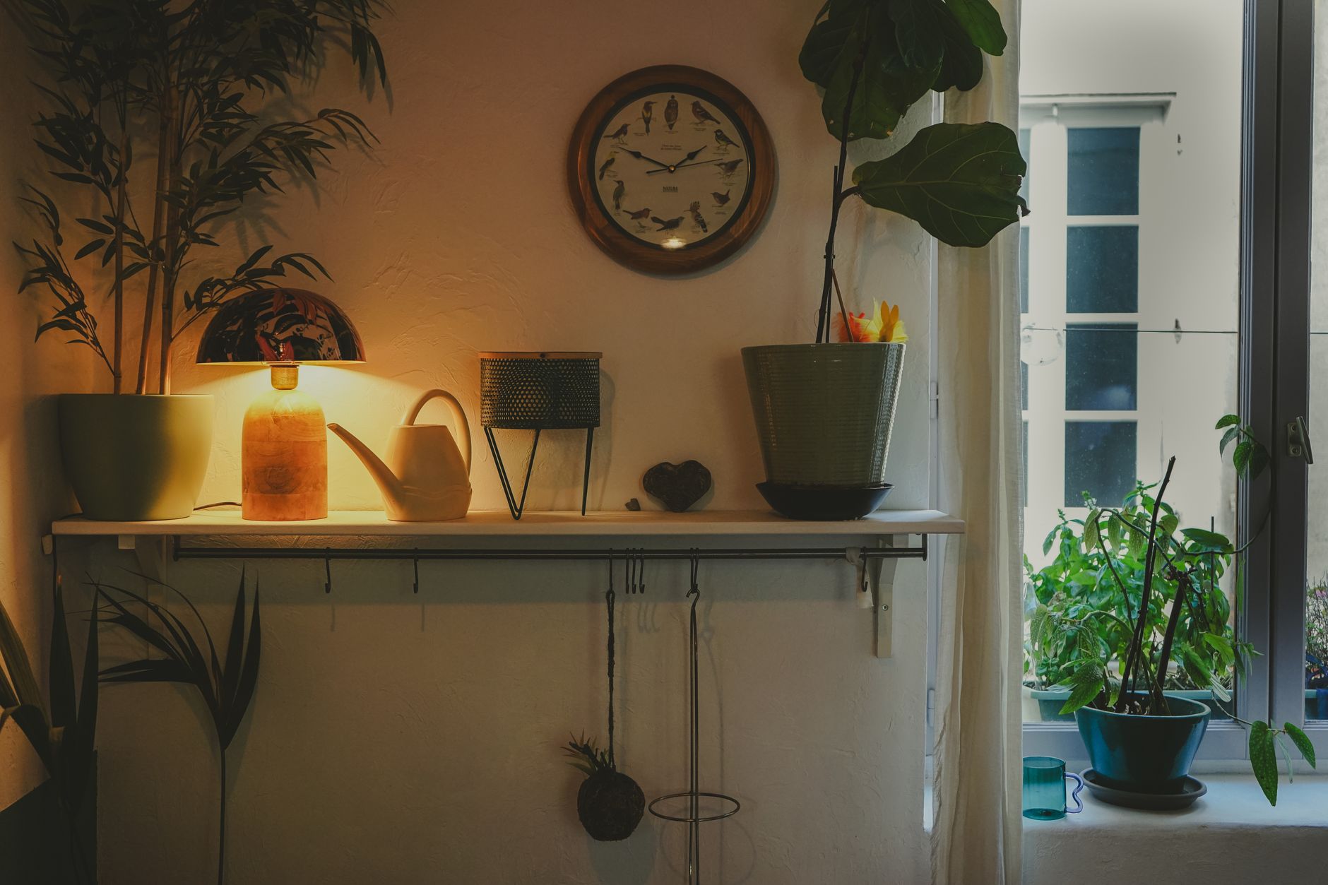 Comment éviter de faire mourir vos plantes en hiver ?