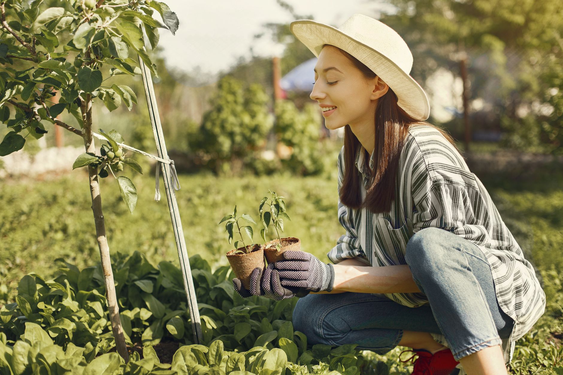 Les avantages de planter des arbustes en septembre
