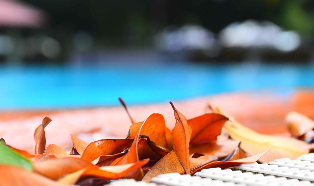 Pisciniste à Sète