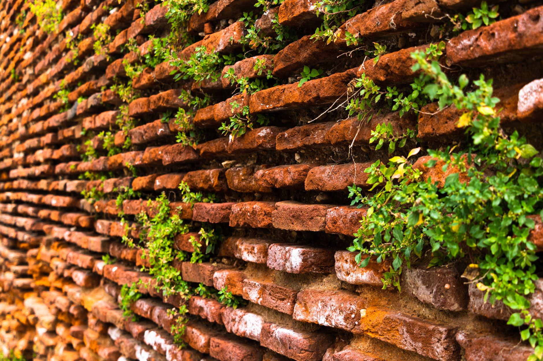 Comparatif isolants naturels et synthétiques pour murs
