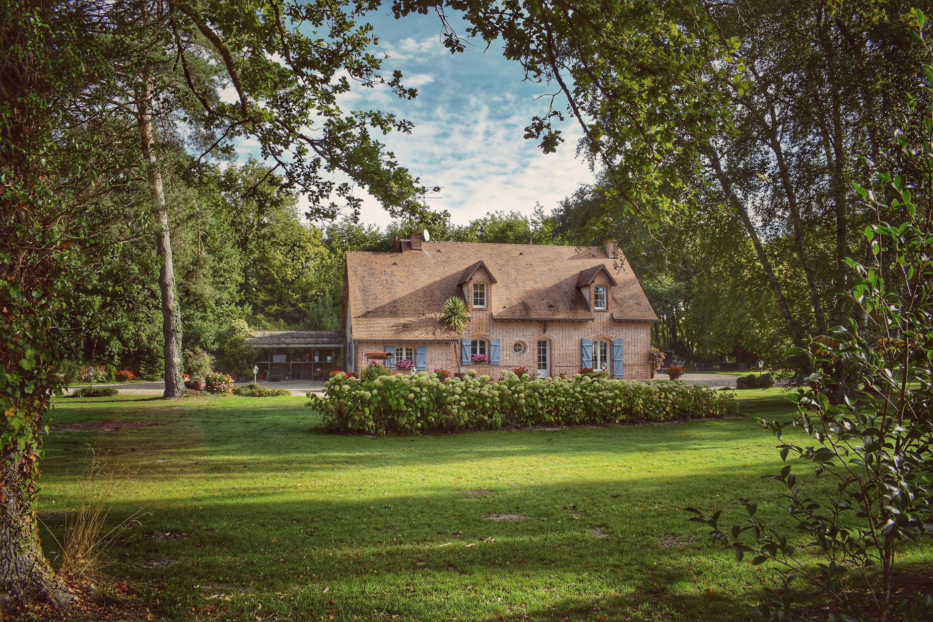 Meilleurs isolants écologiques pour maison : guide comparatif