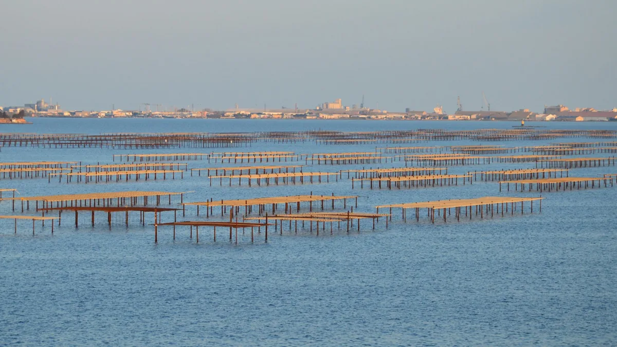 Marseillan