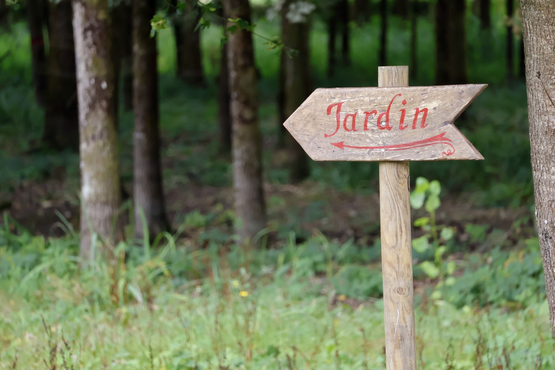 Transformez vos bouteilles vides en bordures de jardin sans frais