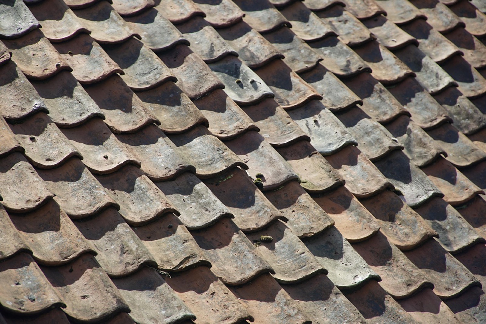 Fissure sur une membrane de toiture vue de près