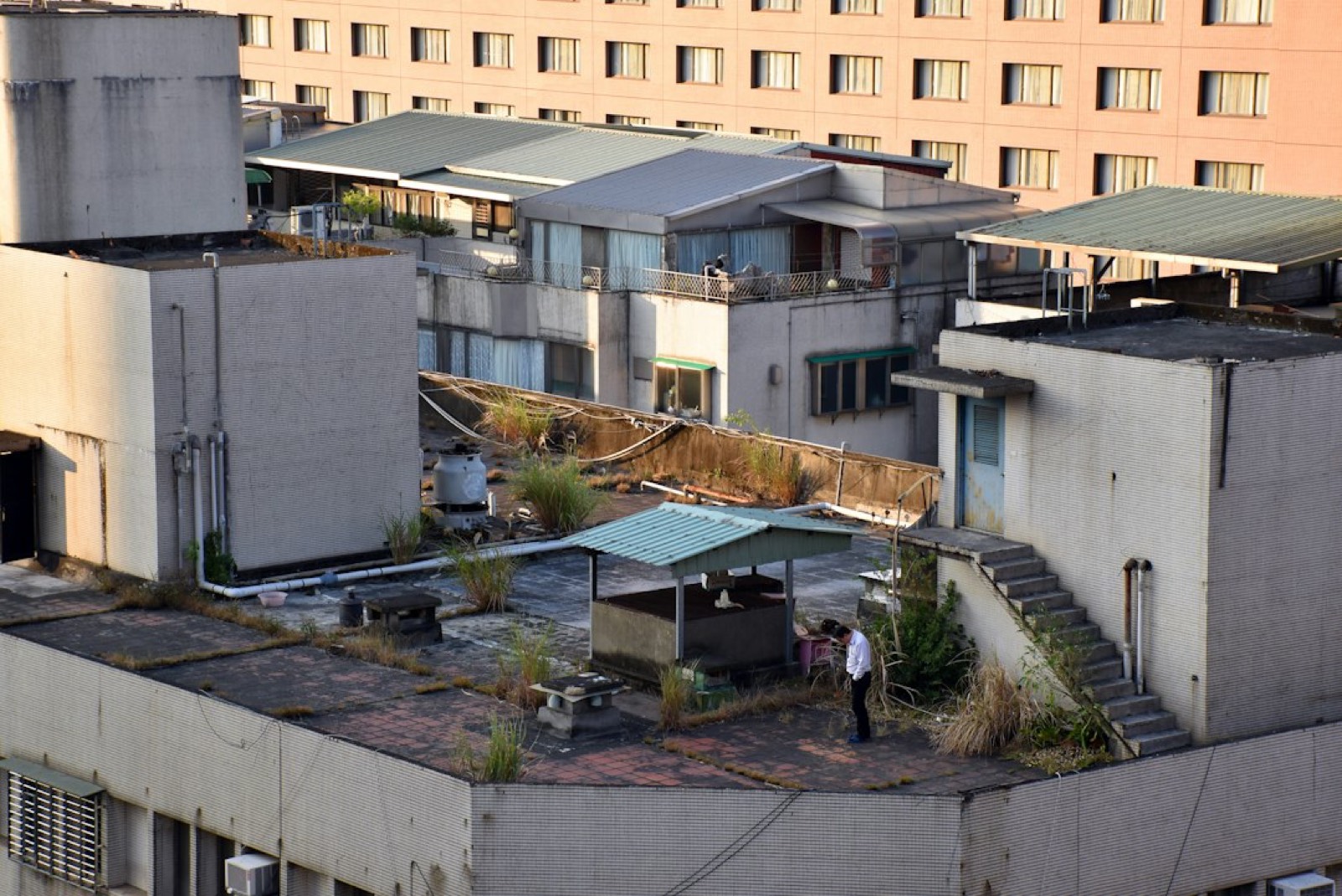Toiture-terrasse avec eau stagnante et revêtement d'étanchéité fissuré