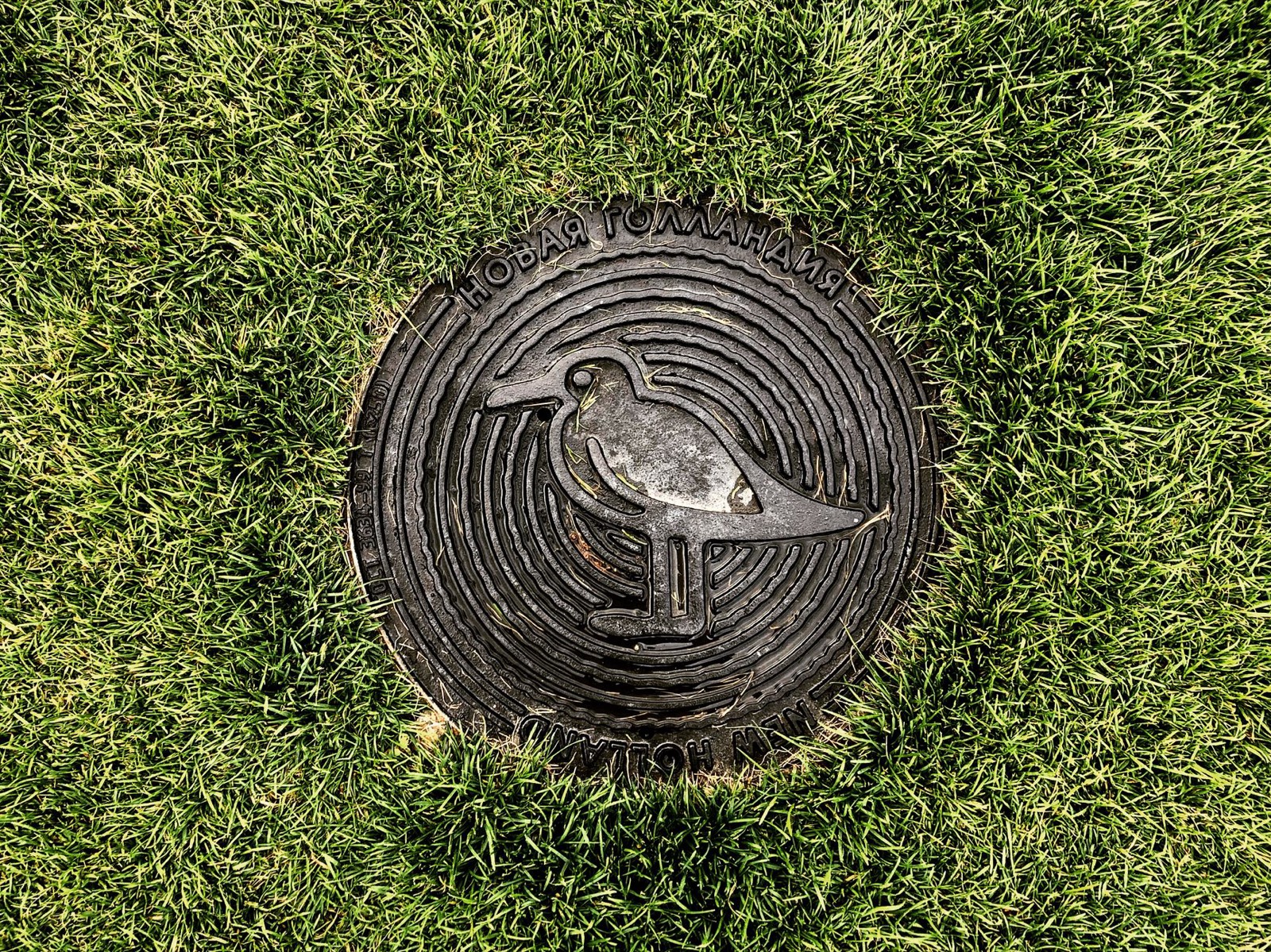 Regard d'accès à une fosse septique dans un jardin